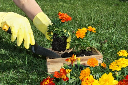 Compost and mulch being used in a community garden