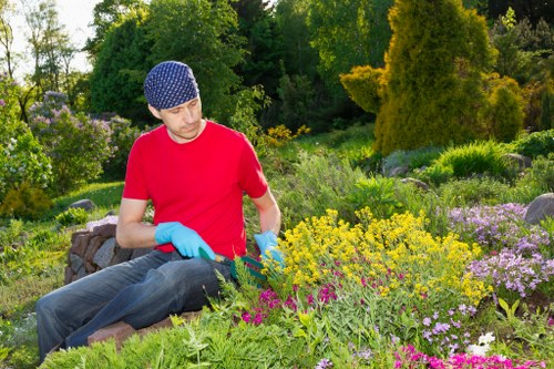 Summary of payment security for lawn mowing Walthamstow