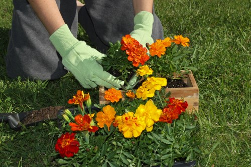 A gardener wearing light green gardening gloves is tending to a vibrant flower bed in a well-maintained outdoor garden. The flower bed contains a variety of colourful blooms, mainly in shades of orange, yellow, and red, with lush green foliage surrounding them. The garden features a neatly mown lawn with evenly cut grass, bordered by a small wooden planter box filled with soil. In the background, there are additional garden plants and possibly a paved pathway, indicating a landscaped outdoor space designed for both aesthetic appeal and outdoor enjoyment. The weather appears clear and sunny, casting natural light over the scene, which highlights the fresh, healthy appearance of the plants and the meticulous care given to this garden. This image reflects professional gardening practices and garden maintenance services offered by Lawn Mowing Walthamstow, suitable for enhancing residential or small outdoor spaces such as front or back gardens in the Walthamstow area, with a focus on garden artistry and outdoor landscape care.